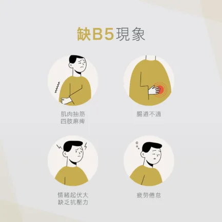 VitalBulk 維他命B5（泛酸鈣）500mg