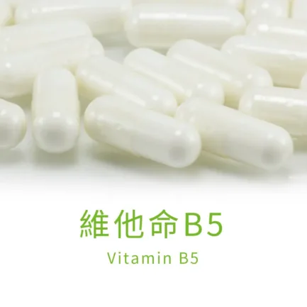 VitalBulk 維他命B5（泛酸鈣）500mg