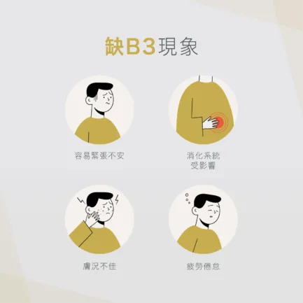 VitalBulk 維他命B3錠（菸鹼酸）100mg