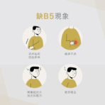 VitalBulk 維他命B5（泛酸鈣）500mg：圖片 6