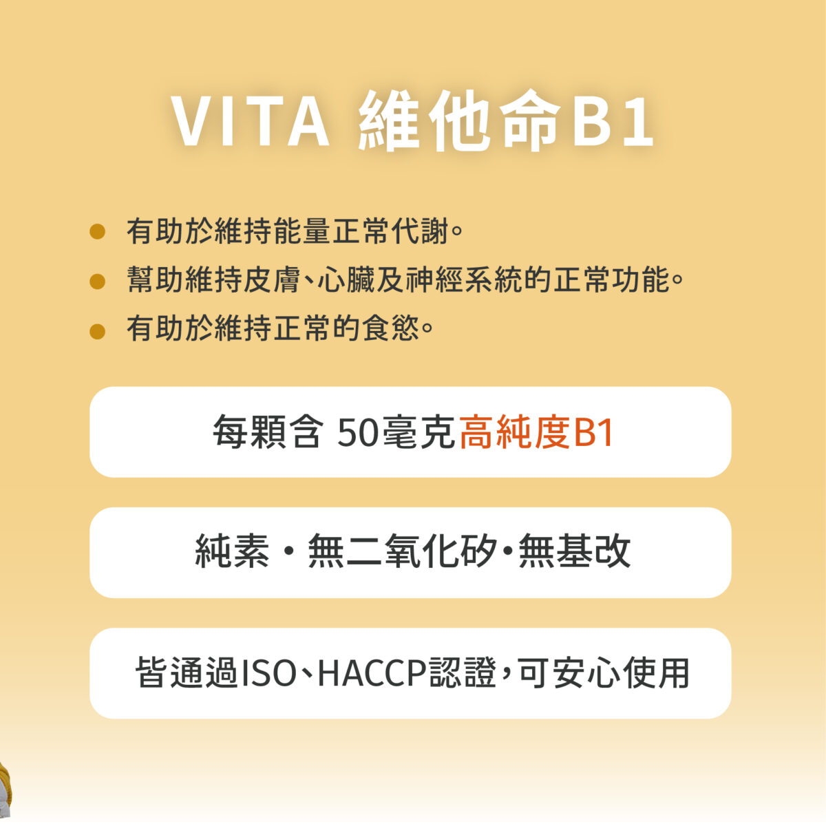 VITA 維他命B1 50mg：圖片 5
