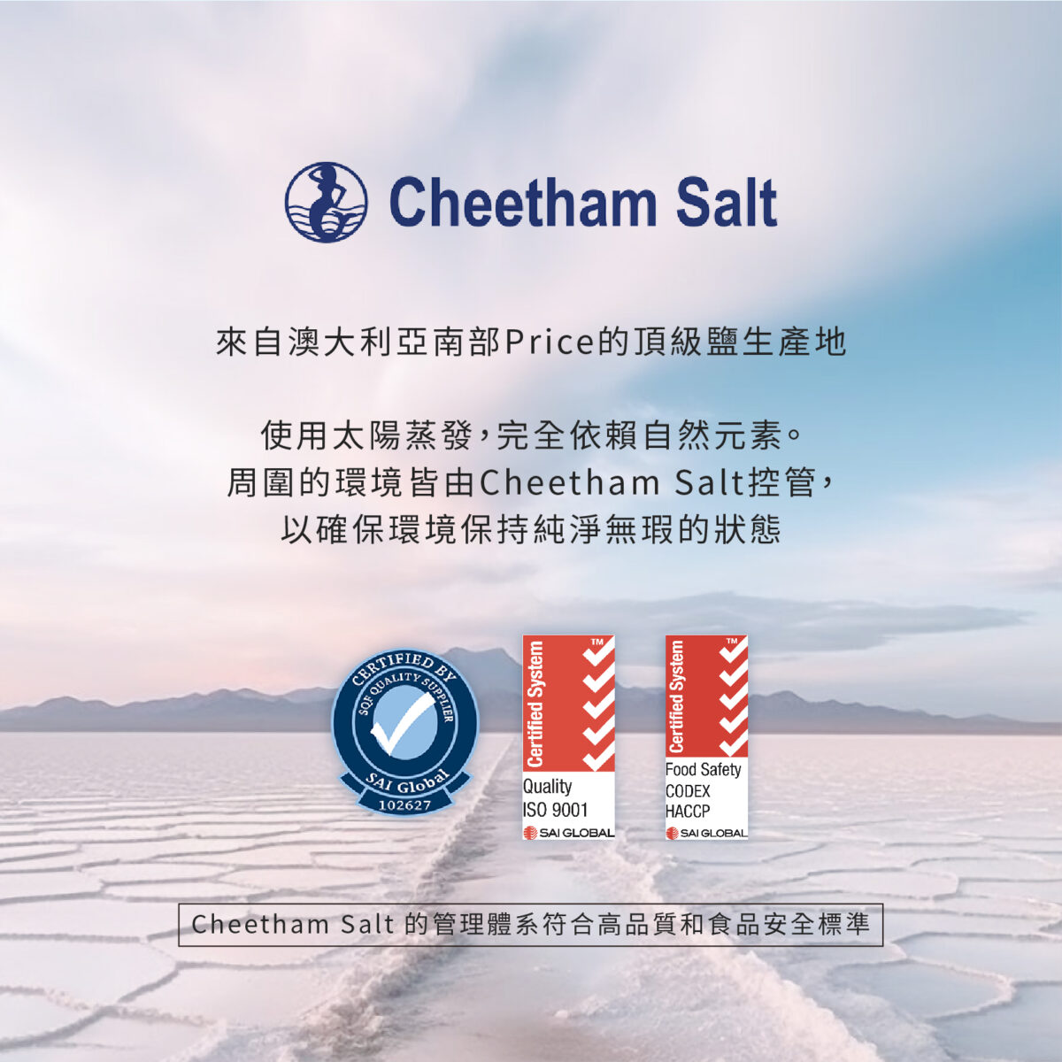 機能型鹽錠-05 VITA機能型鹽錠 500mg:圖片 8