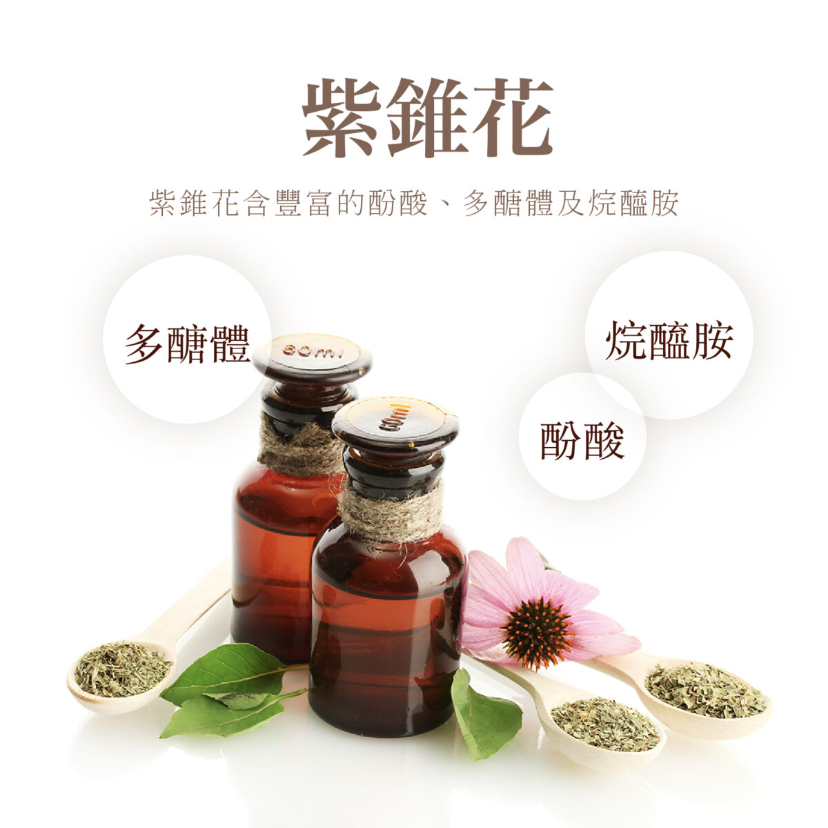 VitalBulk 紫錐花 500mg：圖片 3