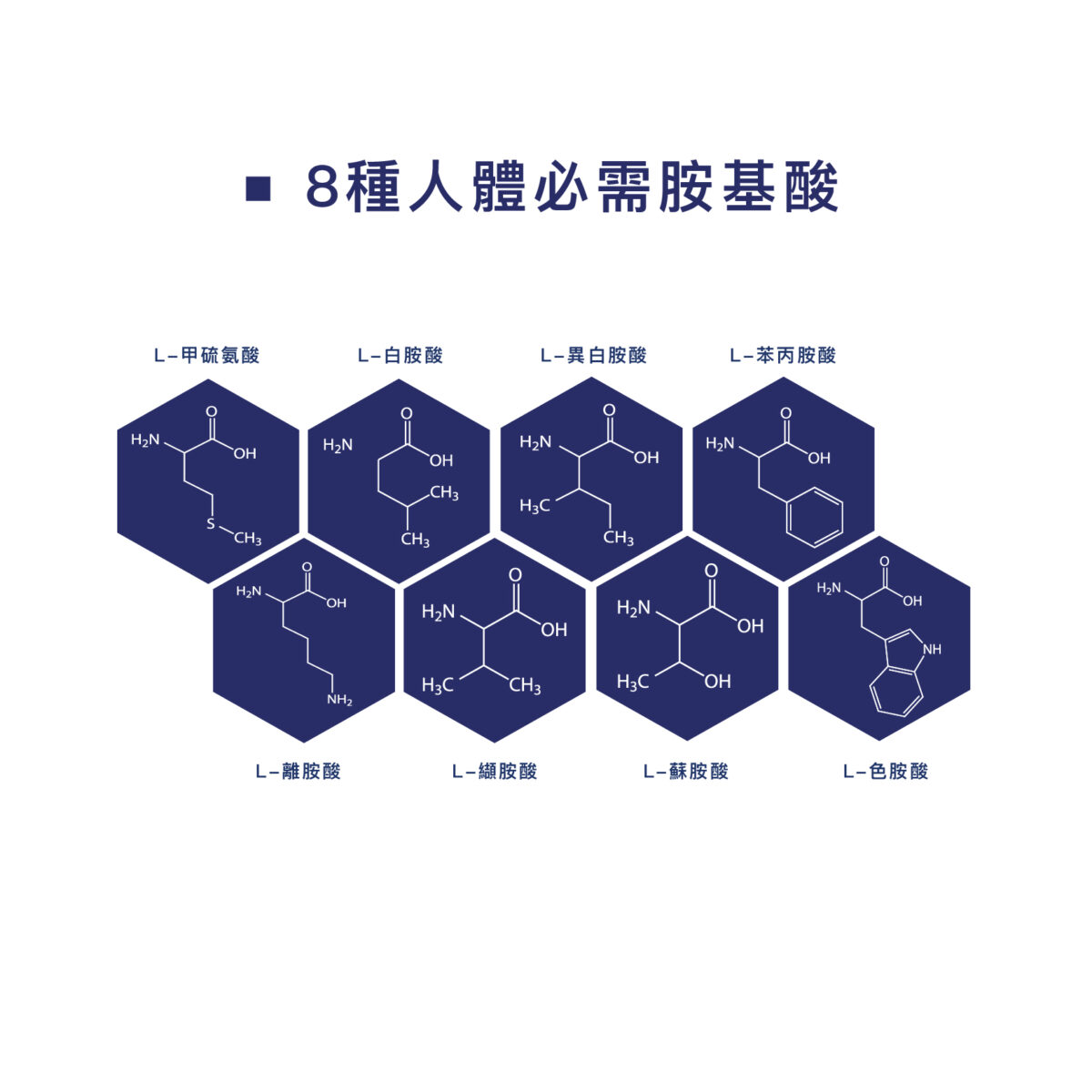 BODYHEALTH 超級胺基酸沖泡粉：圖片 6
