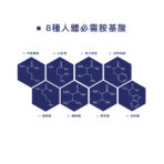 BODYHEALTH 超級胺基酸沖泡粉：圖片 6